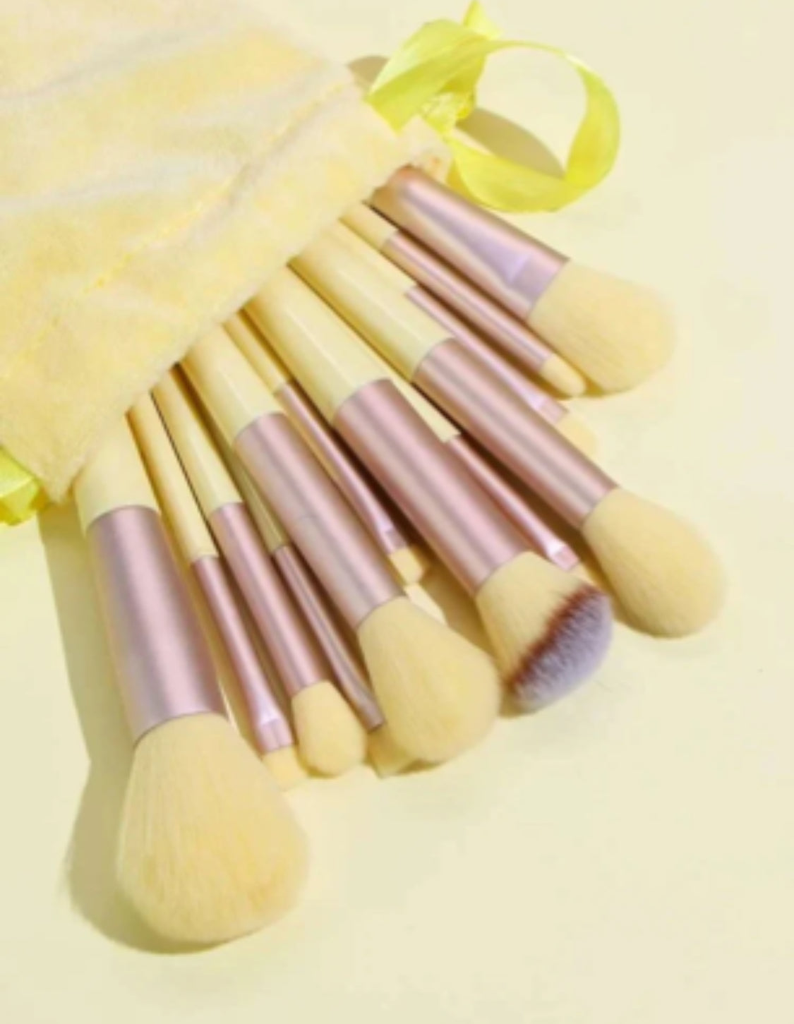 13 pieces Brushes set